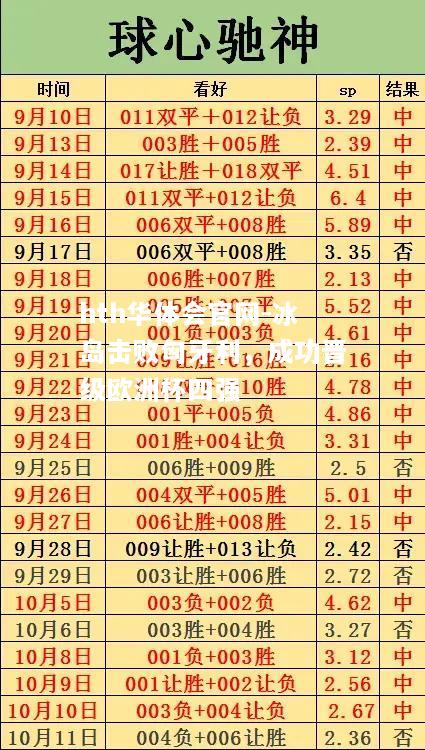 冰岛击败匈牙利，成功晋级欧洲杯四强